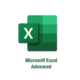 Microsoft Excel Advance