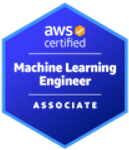 machine learning engineer